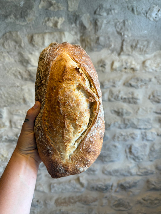 Pavé tradition graines ou naure